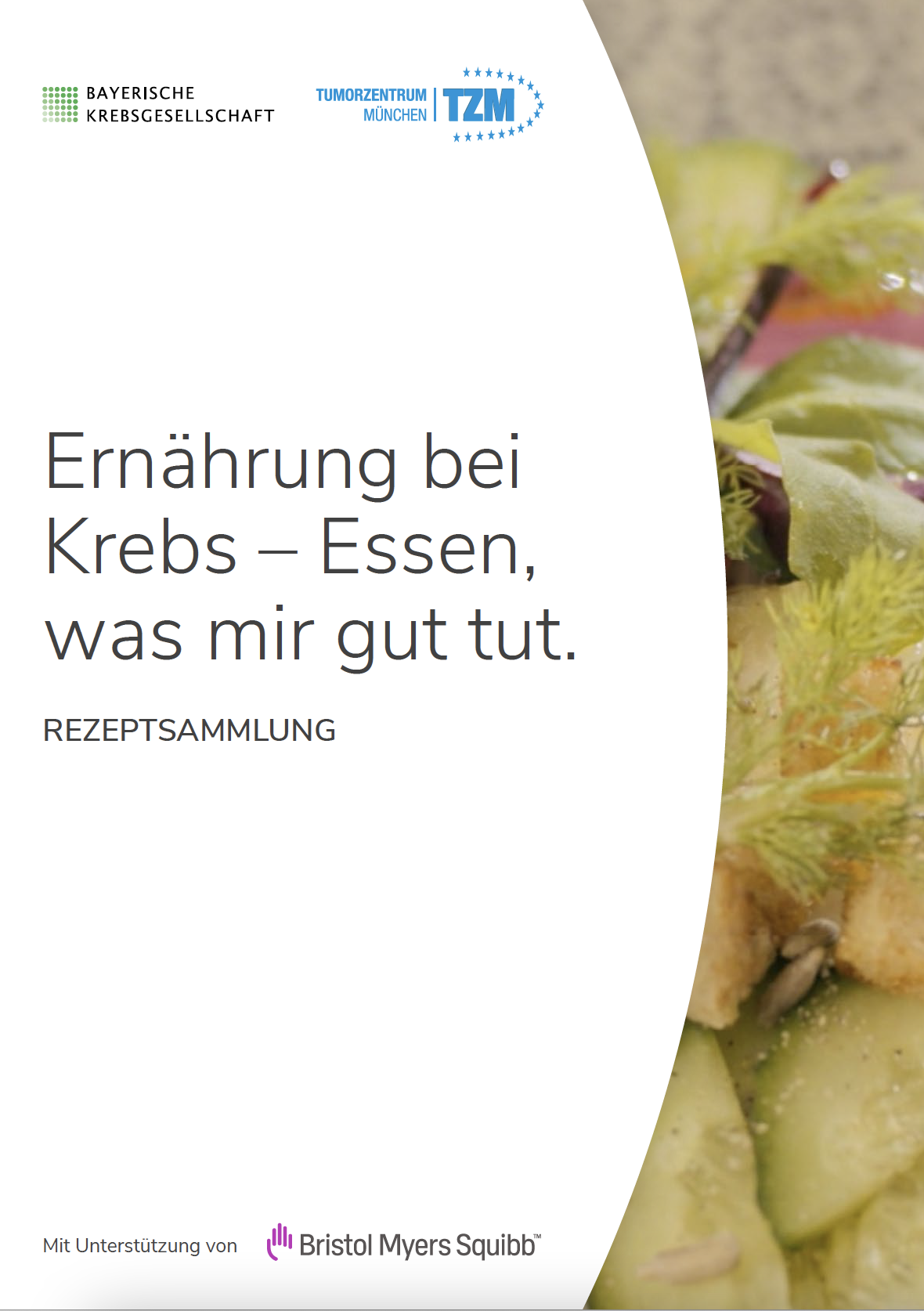 Rezeptsammlung Ernährung bei Krebs